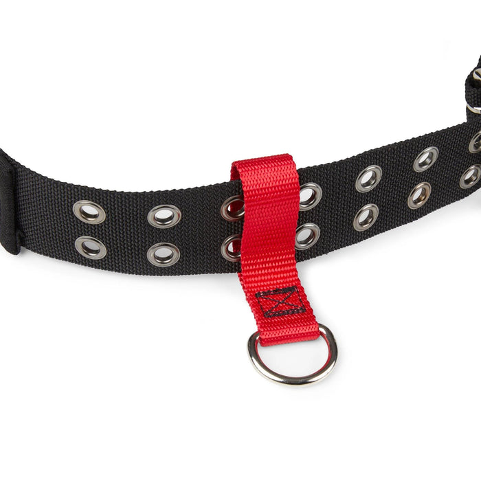Gripps Belt Loop Anchor with D-Ring
