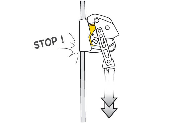 Petzl ASAP Lock with ASAP’SORBER