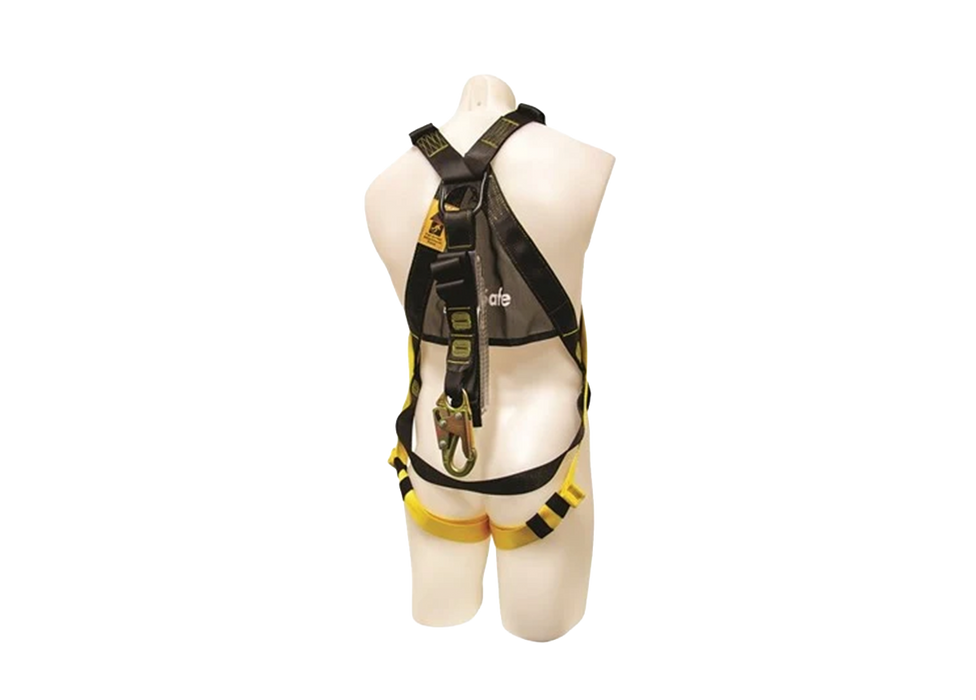 B-Safe All Purpose Fall Arrest Harness with 2m Web Lanyard