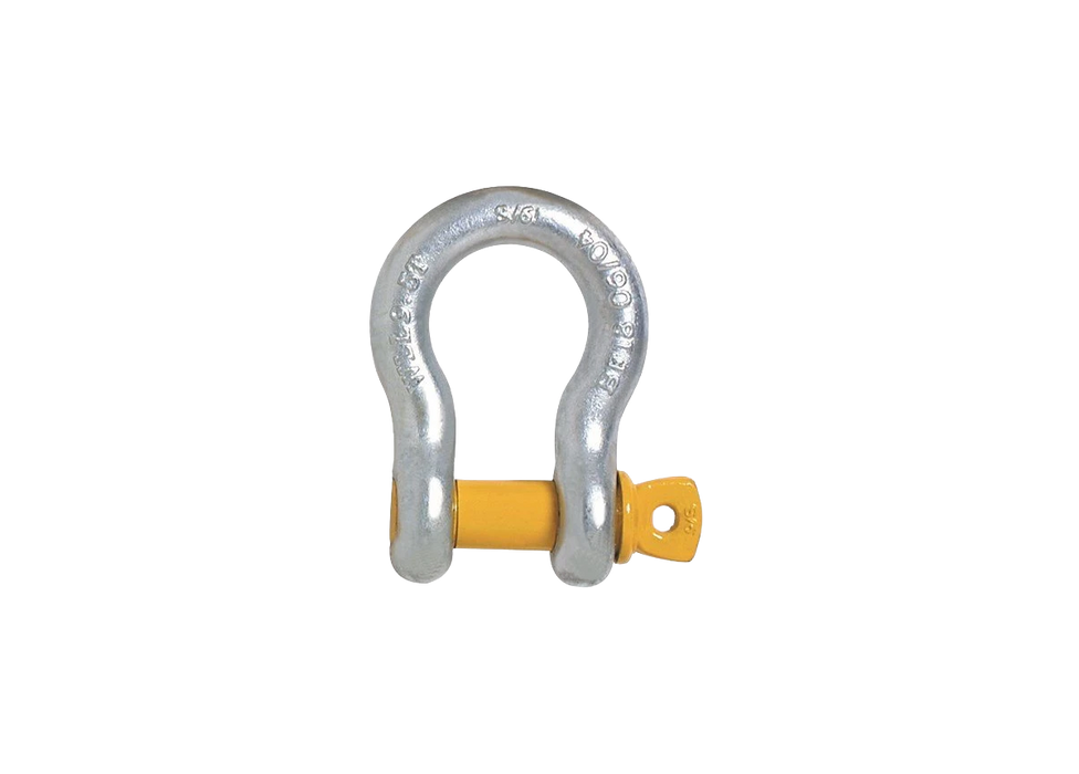 Beaver Screw Pin Bow Shackle