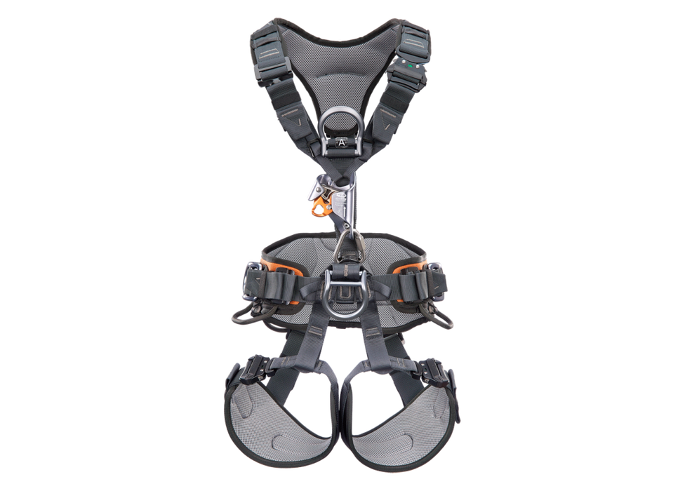 CT Gryphon Ascender Harness