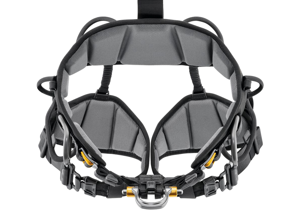 Petzl Astro European Harness