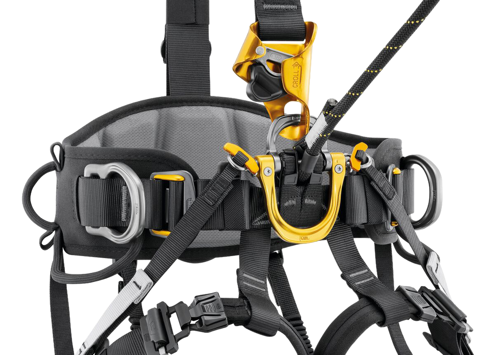 Petzl Astro European Harness