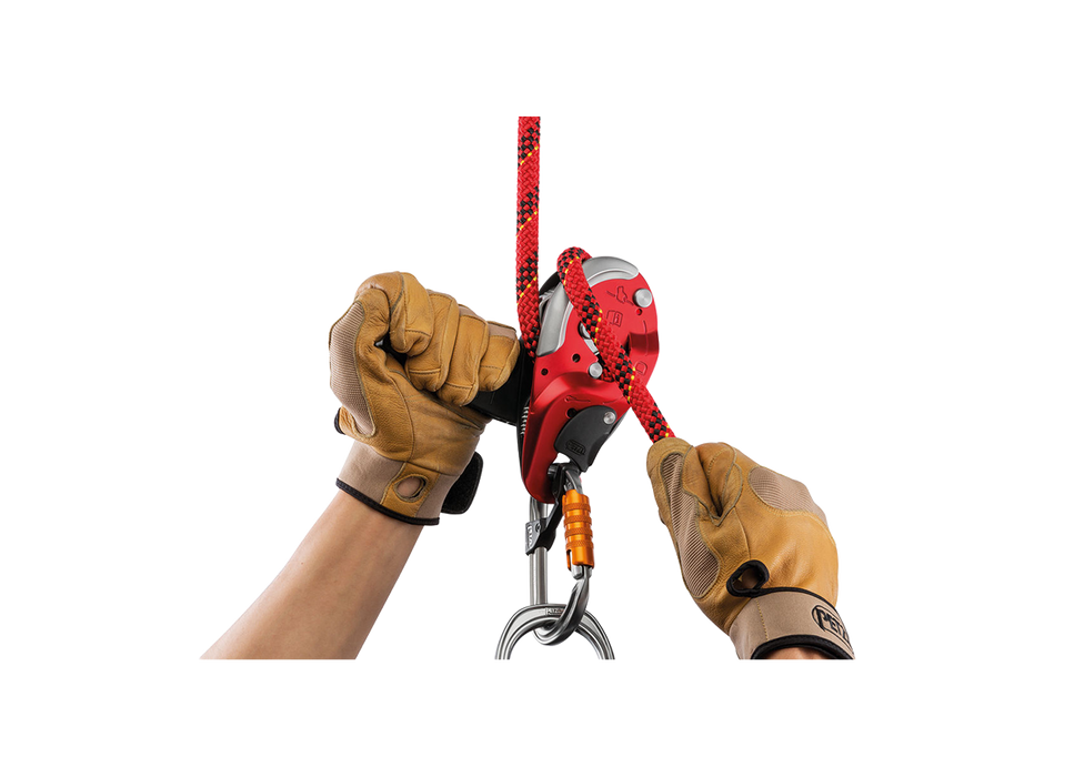 Petzl I'D Descender