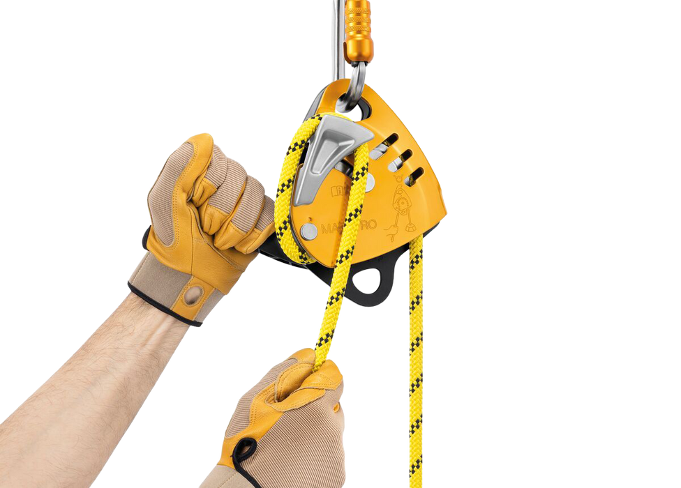 Petzl Maestro