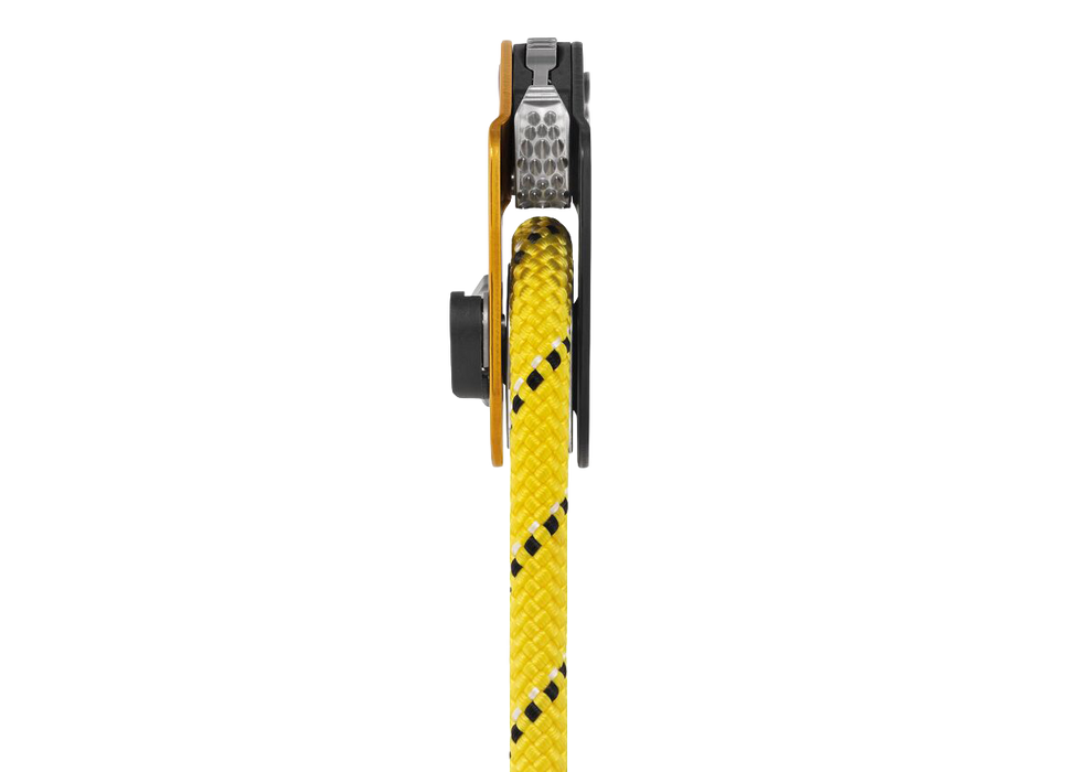 Petzl Mini Traxion