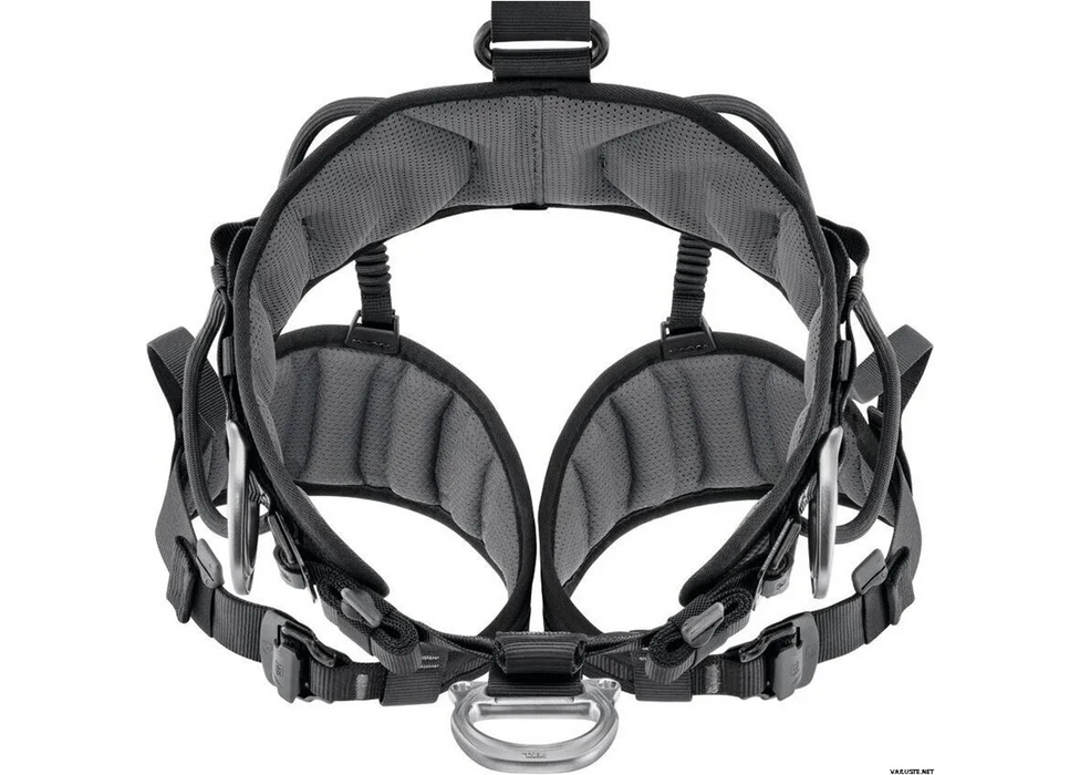 Petzl Avao Fast - European